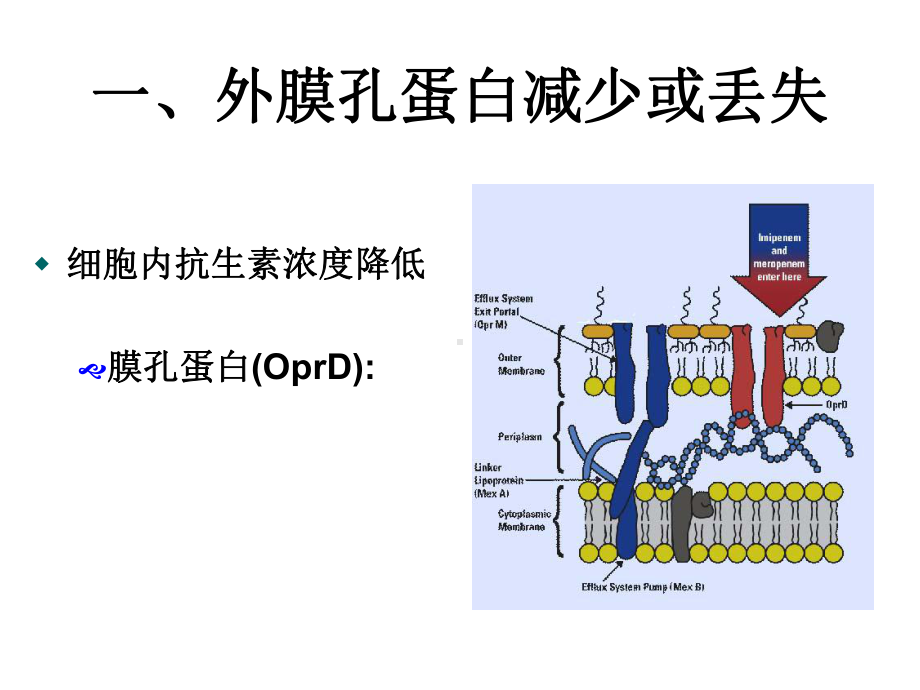 1细菌耐药机制课件.ppt_第2页