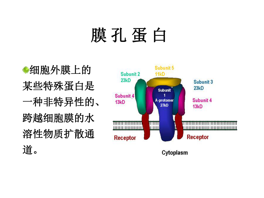 1细菌耐药机制课件.ppt_第3页