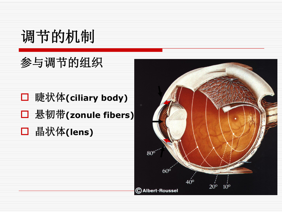 3.眼的调节与集合-PPT课件.ppt_第3页