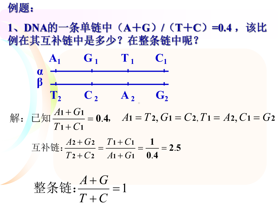 DNA分子相关计算ppt课件.ppt_第2页