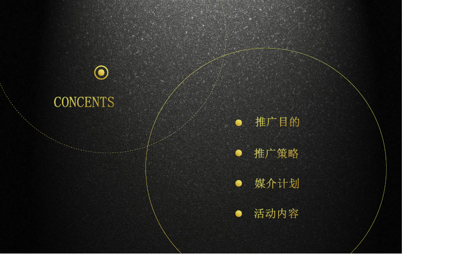 XX网约车绵阳试点推广策划案PPT课件.ppt_第3页