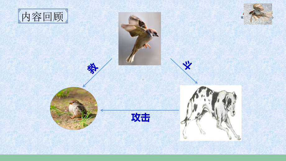 16.麻雀-完整版PPT课件.pptx_第3页