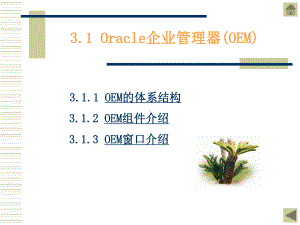 Oracle管理工具数据库技术基础课件.pptx