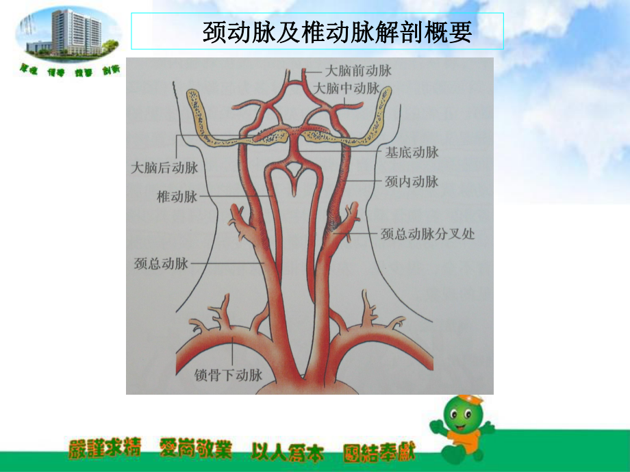 PPT医学课件锁骨下动脉盗血讲义.ppt_第1页