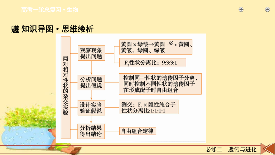 2022届高考生物(人教版)一轮总复习课件：必修2-孟德尔豌豆杂交实验(二)-课末总结.pptx_第3页