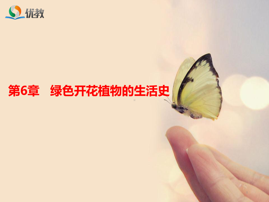 1绿色开花植物的生活史ppt课件.ppt_第1页