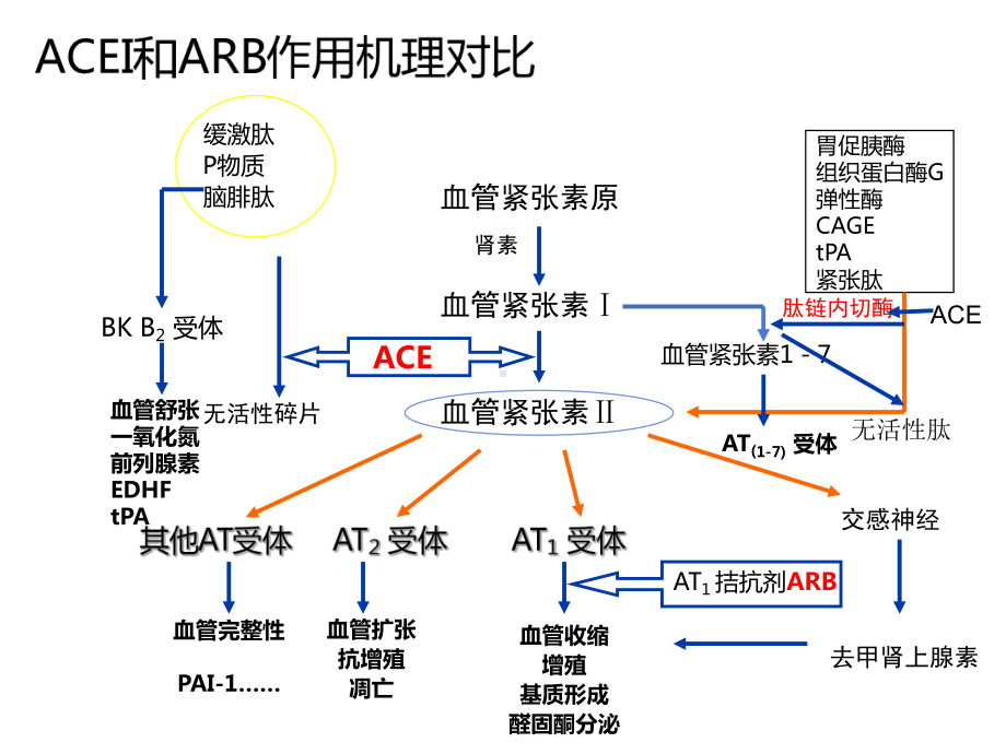 ACEI和ARB药物临床应用精品PPT课件.pptx_第2页