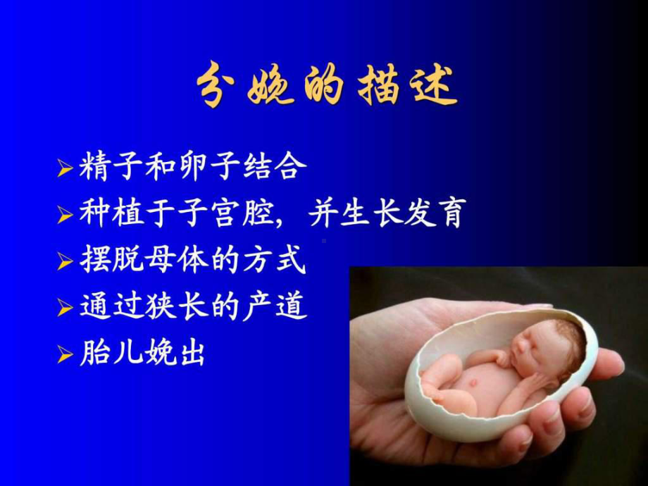 《产房秘密早知道》PPT课件.ppt_第2页