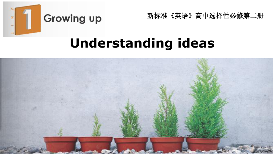 Unit 1 Understanding ideasppt课件-（2019）新外研版高中英语选择性必修第二册.pptx_第1页