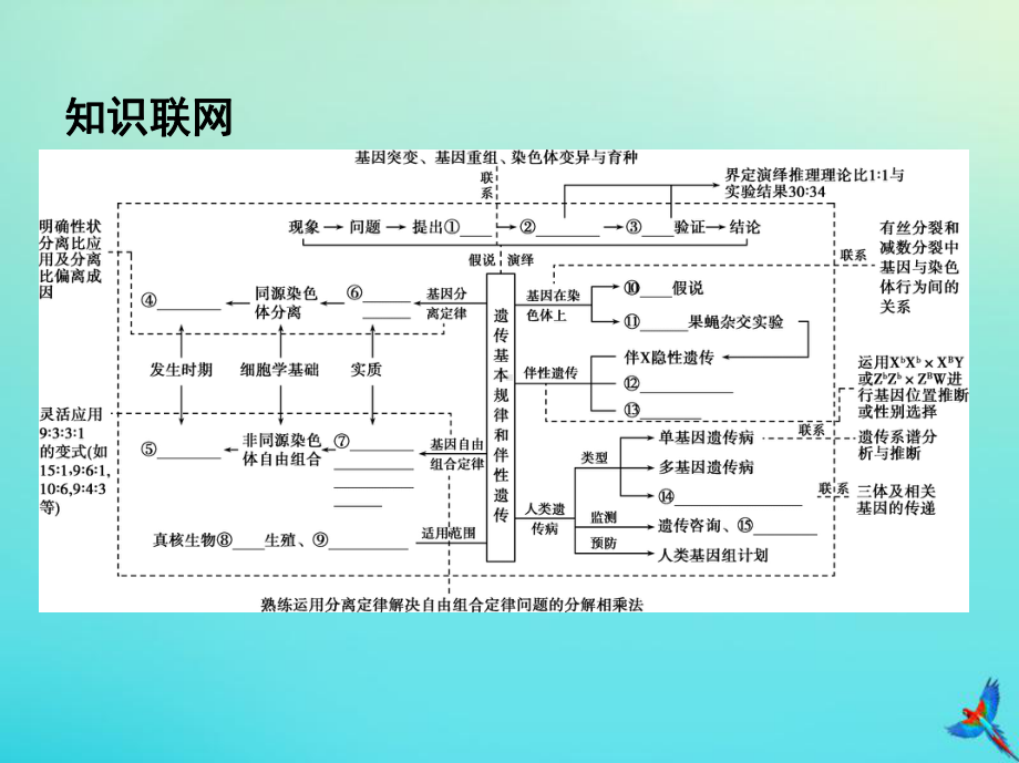 2020届高三生物二轮复习第7讲遗传的基本规律和人类遗传病课件.pptx_第2页