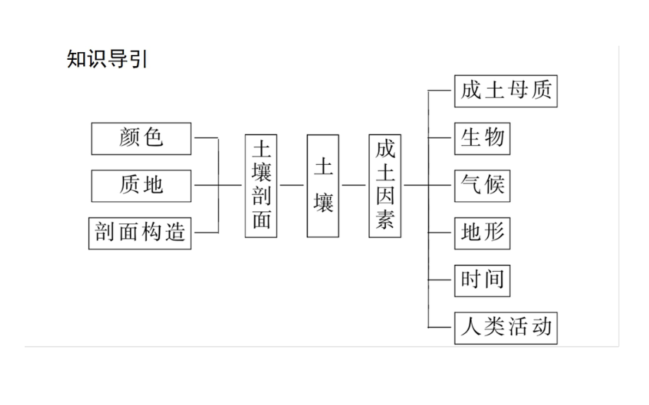 2020-2021学年高中地理新教材必修第一册(湘教版)课件：5.2-土壤的形成-.ppt_第3页