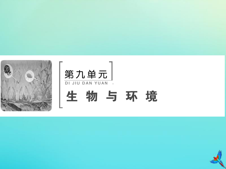 2020版高考生物一轮复习第29讲生态系统的结构与能量流动课件新人教版.ppt_第1页