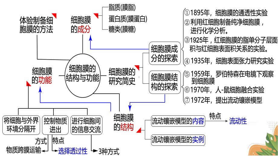 8-细胞膜、生物膜系统、细胞膜提取实验-课件-2022届高考生物大一轮复习.pptx_第3页