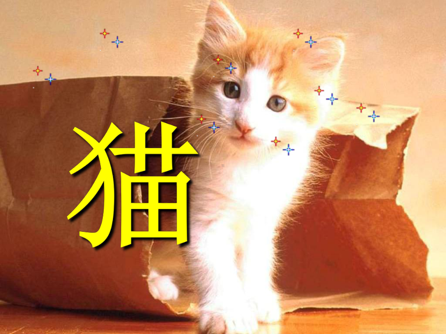 《猫》教学课件.ppt_第1页