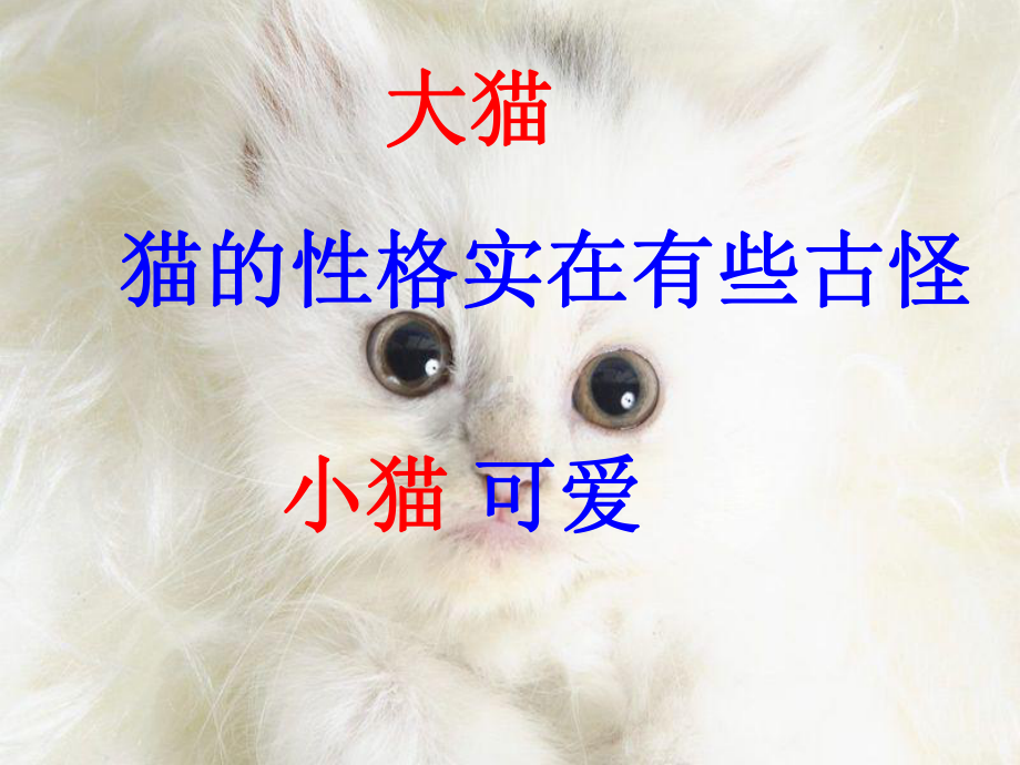 《猫》教学课件.ppt_第3页