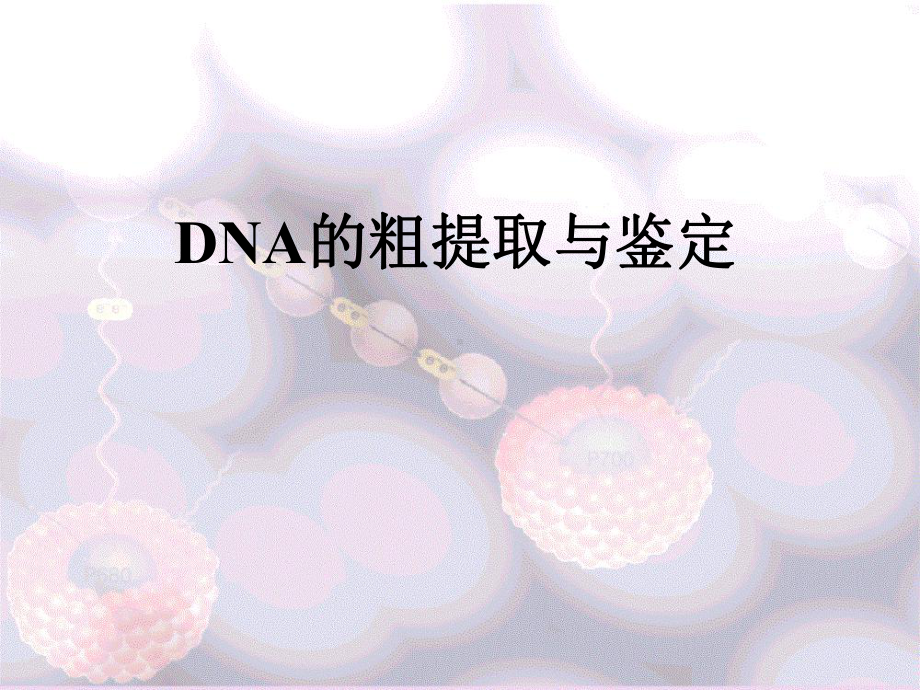 dna的粗提取与分离.ppt课件.ppt_第1页