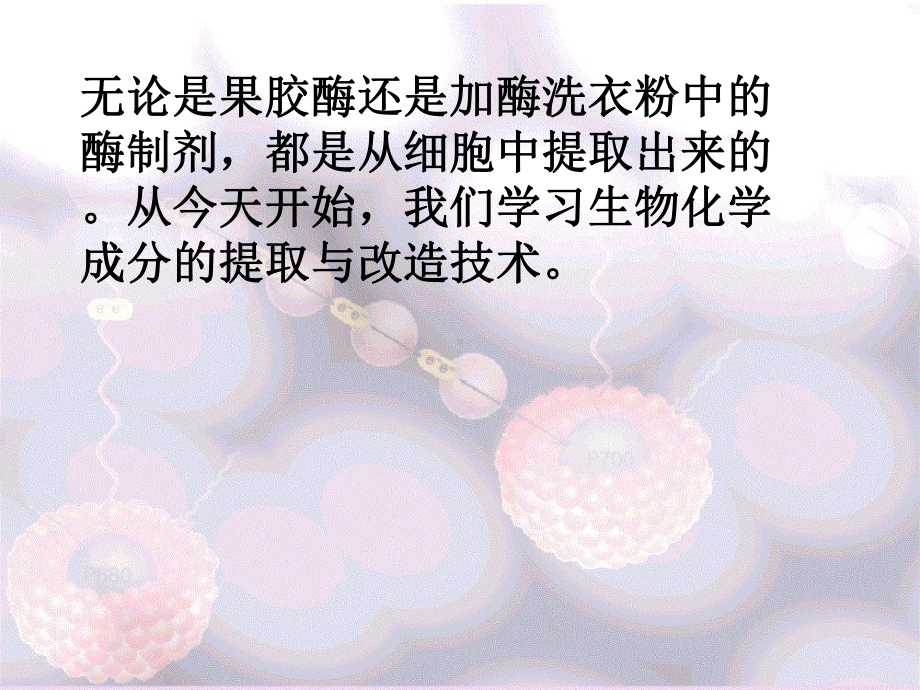 dna的粗提取与分离.ppt课件.ppt_第2页