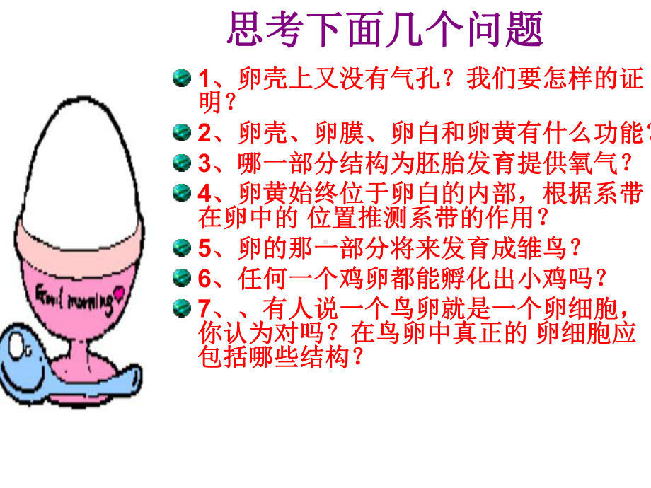 6观察鸡蛋的结构汇总课件.ppt_第2页