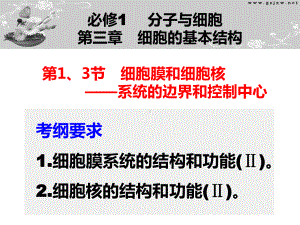 2022届高三一轮复习生物第1、3节-细胞膜和细胞核--系统的边界和控制中心-课件.pptx