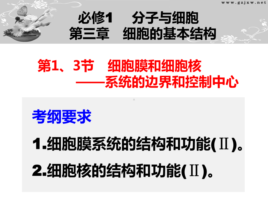 2022届高三一轮复习生物第1、3节-细胞膜和细胞核--系统的边界和控制中心-课件.pptx_第1页