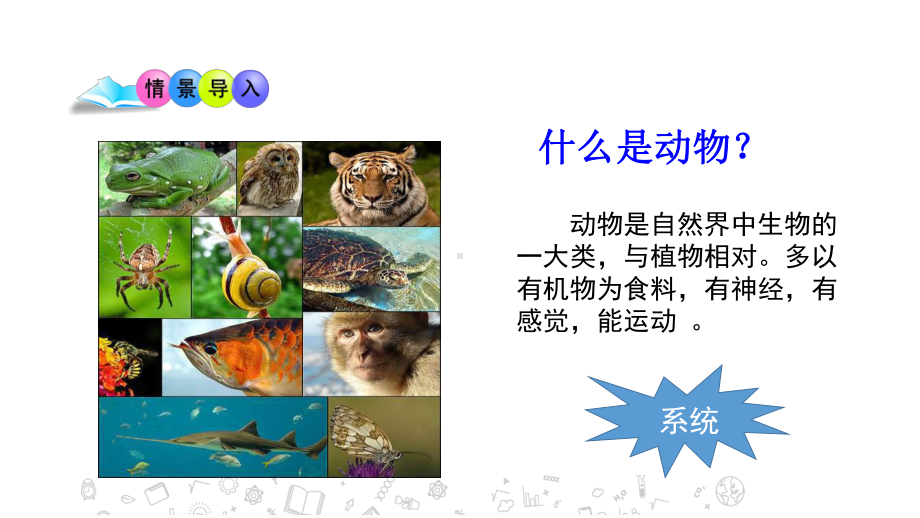 14.2-千姿百态的动物世界-课件-2020年秋苏教版八年级上册生物(共41张PPT).pptx_第2页