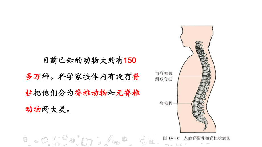 14.2-千姿百态的动物世界-课件-2020年秋苏教版八年级上册生物(共41张PPT).pptx_第3页