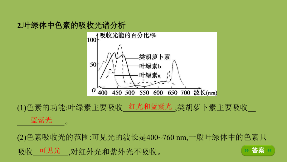 2022届高考生物一轮复习课件第9讲-光合作用与能量转化-.pptx_第3页