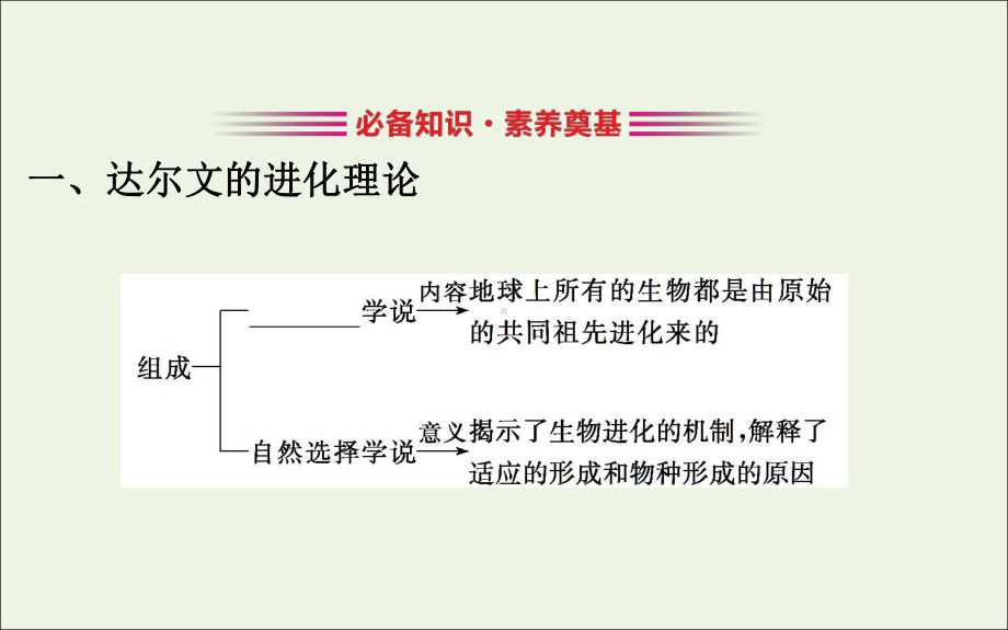 2020年新教材高中生物6.1生物有共同祖先的证据课件新人教版必修2.ppt_第3页