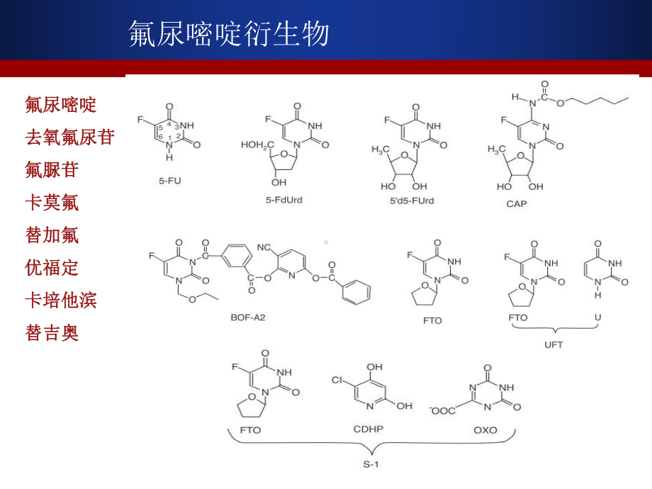 5-FU及其衍生物汇总课件.ppt_第1页