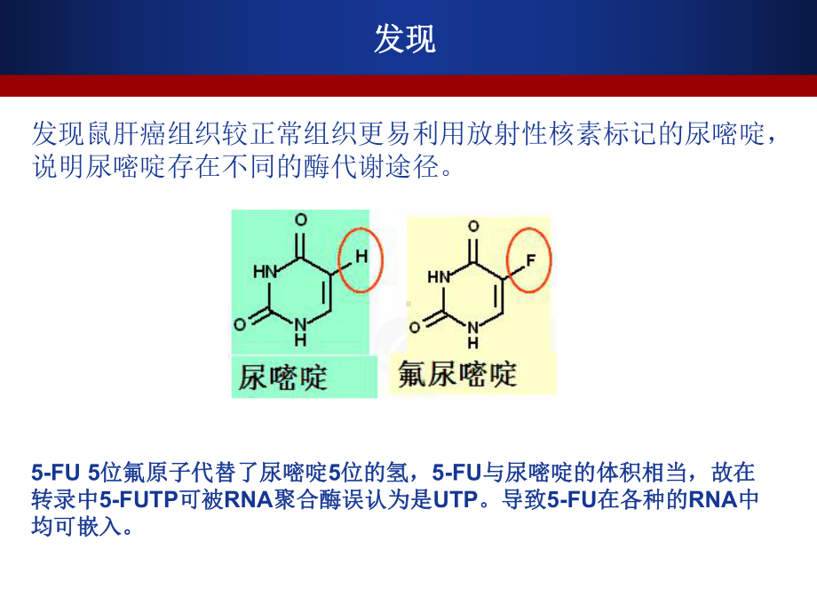 5-FU及其衍生物汇总课件.ppt_第2页