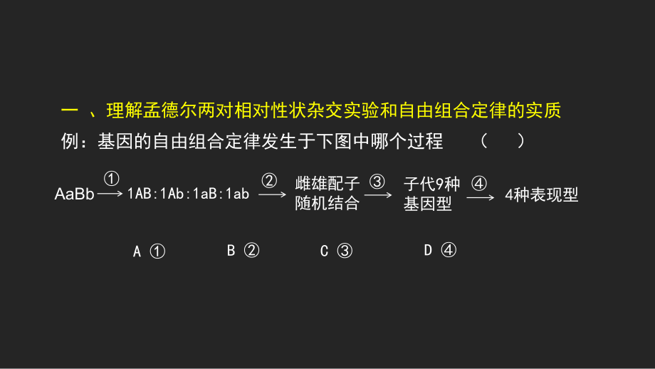 2021届高三一轮复习生物《基因的自由组合定律复习》课件.pptx_第3页