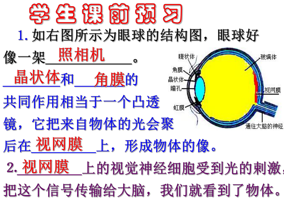 5.4眼睛与眼镜(人教版)课件.ppt_第2页