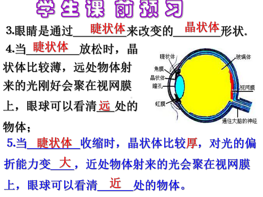 5.4眼睛与眼镜(人教版)课件.ppt_第3页