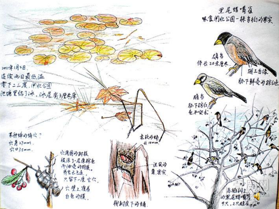 2.手绘学习笔记-(2)课件.ppt_第1页