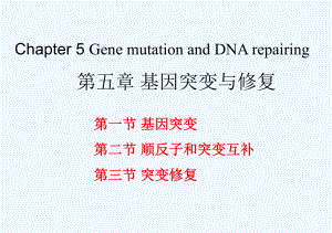 5分子生物学第五章-基因突变和修复课件.ppt