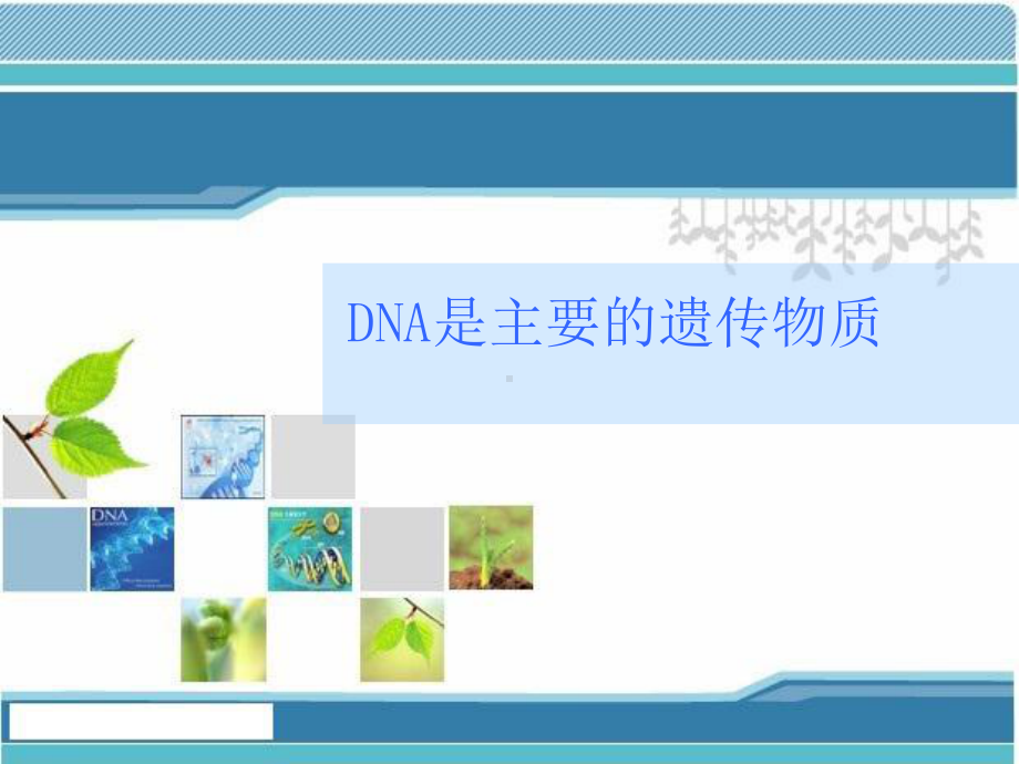 DNA是主要的遗传物质ppt课件.ppt_第1页