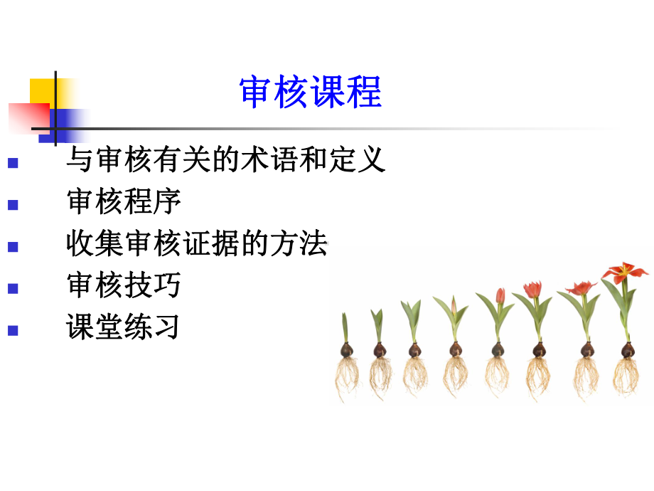 QES三体系审核培训幻灯片课件.ppt_第2页