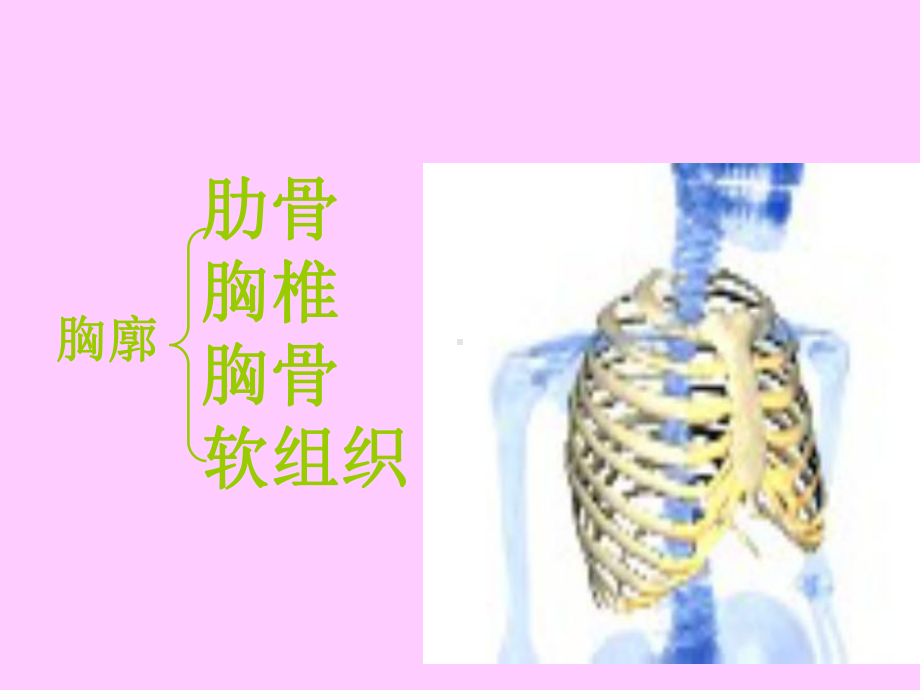 [医学]连枷胸-PPT课件.ppt_第2页