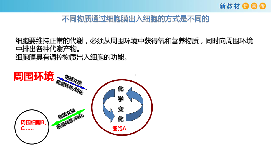 2020年浙江新教材新高考高中生物-物质通过多种方式出入细胞课件.pptx_第2页