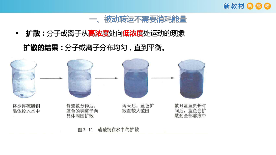 2020年浙江新教材新高考高中生物-物质通过多种方式出入细胞课件.pptx_第3页