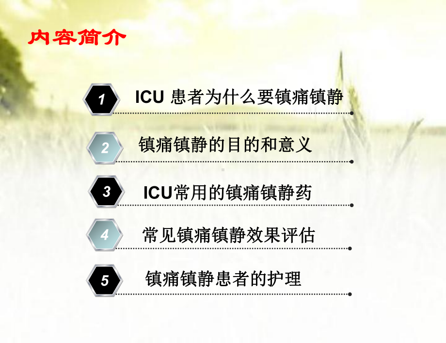 ICU镇静镇痛的护理-PPT课件.ppt_第3页