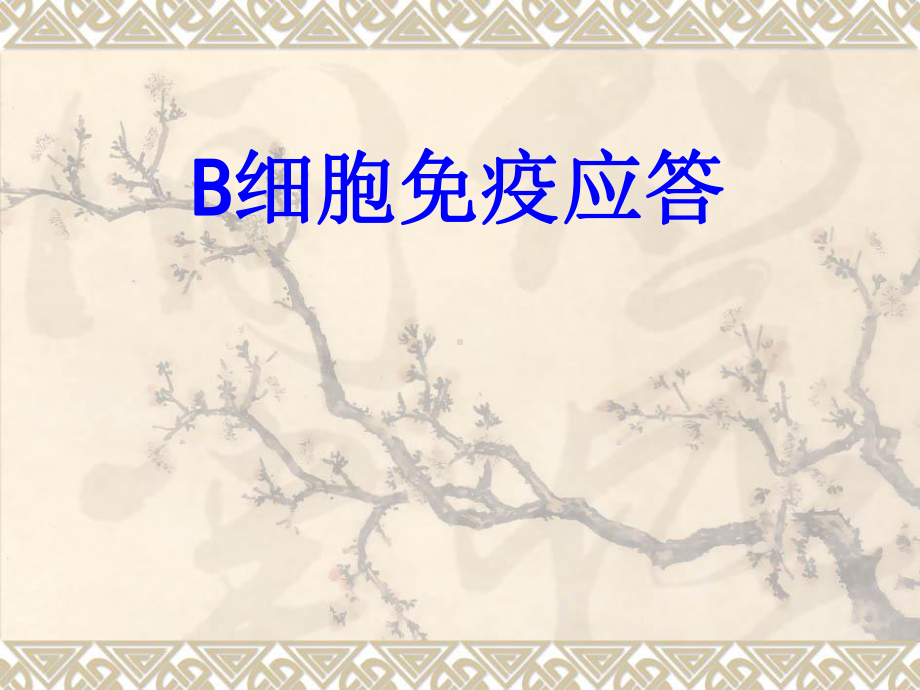 B细胞免疫应答PPT培训课件.ppt_第1页