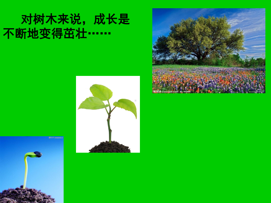 “成长”主题班会.ppt课件.ppt_第3页