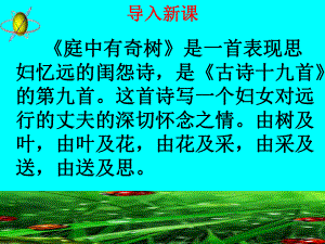 1庭中有奇树课件.ppt