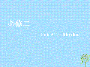 2020版高考英语一轮复习Unit5Rhythm课件北师大版必修2.ppt