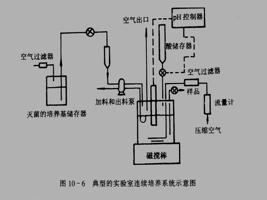 8-连续发酵汇总课件.ppt_第2页