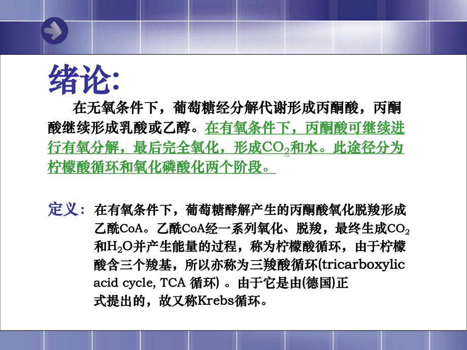 (完整版)三羧酸循环ppt文档课件.ppt_第1页