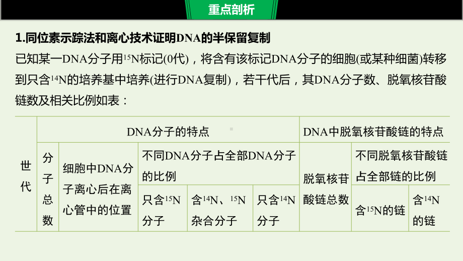 2020年高考生物二轮复习专题四重要题型5同位素示踪法与细胞分裂、DNA的半保留复制课件.pptx_第2页