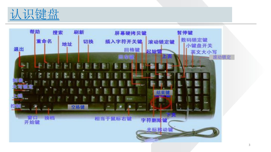 WPS表格基础知识培训教学精品PPT课件.pptx_第3页