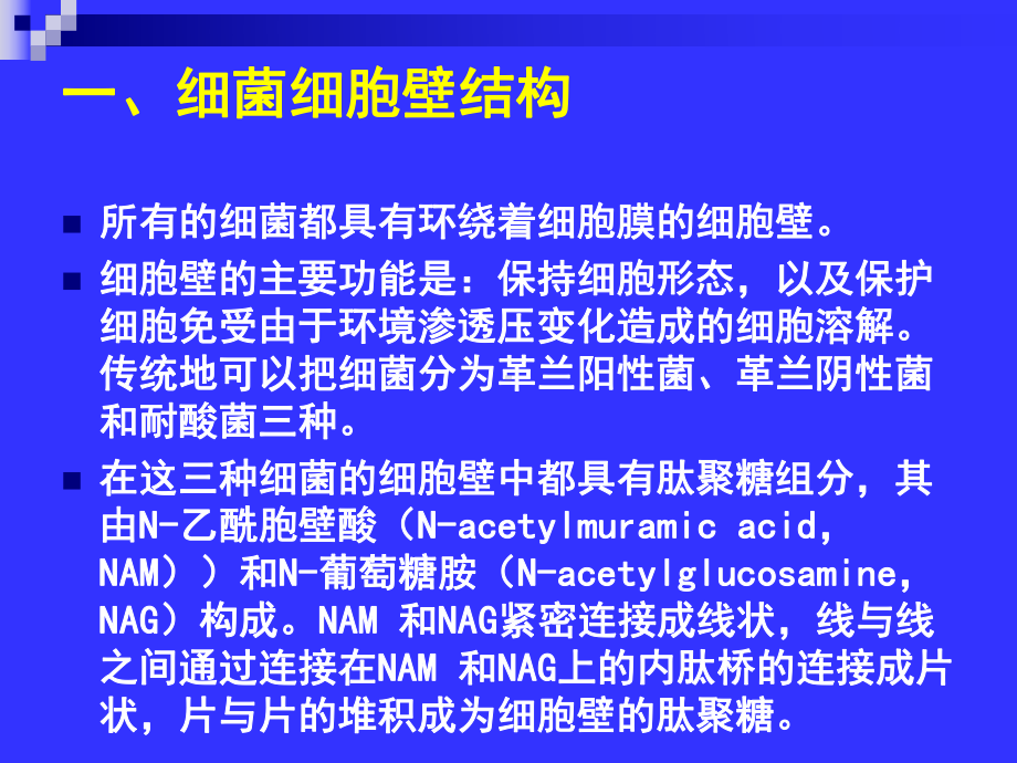 B内酰胺酶分类及其机制研究资料讲解课件.ppt_第3页